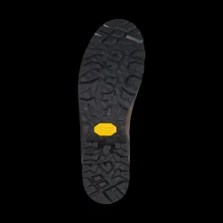 Hot DOLOMIA GTX Shoes|Outlet