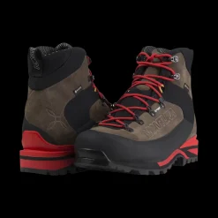 Hot DOLOMIA GTX Shoes|Outlet